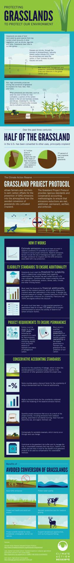 Protecting Grasslands To Protect Our Environment Climate Action 